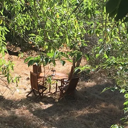 شقة Maisonnette Cosy Avec Jardin Prive Au Calme تولون