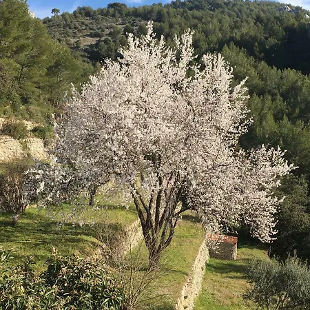 Maisonnette Cosy Avec Jardin Prive Au Calme شقة تولون